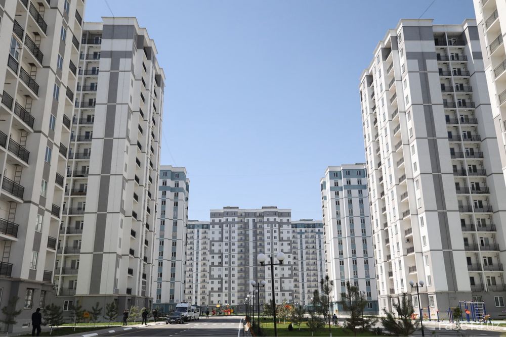 Ширкатларни назорат қиладиган борми?